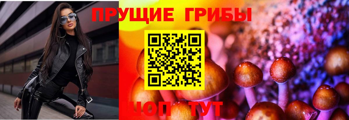 Псилоцибиновые грибы MAGIC MUSHROOMS  Вход с VPN  Славгород 
